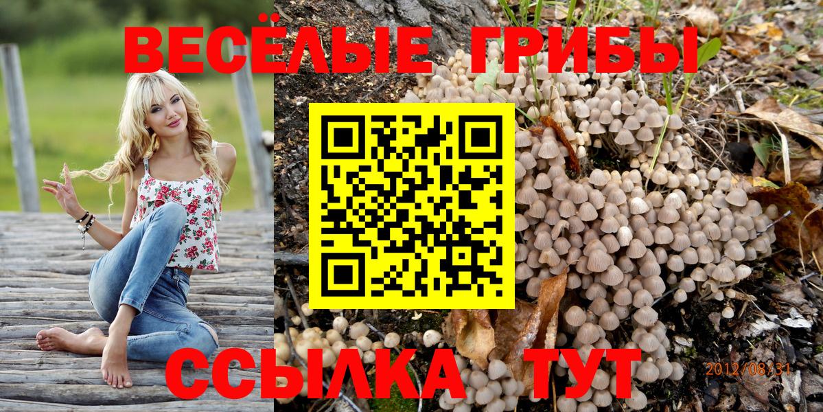Благодарный  Псилоцибиновые грибы прущие грибы  Вход с VPN 